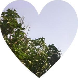 Mirror stainless steel sheet cut into a heart shape for decorative or bespoke mirrors